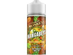 Twelve Monkeys - 100ml - Mangabeys