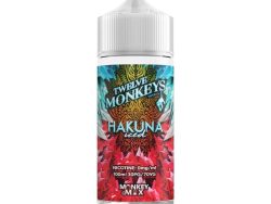 Twelve Monkeys: Ice Age - 100ml - Hakuna Iced