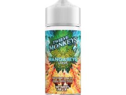Twelve Monkeys: Ice Age - 100ml - Mangabeys Iced