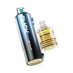 Pyne Pod Click - Prefilled Pod [Mr Blue]