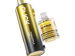 Pyne Pod Click - Prefilled Pod [Pineapple Ice]