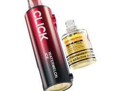 Pyne Pod Click - Prefilled Pod [Watermelon Ice]